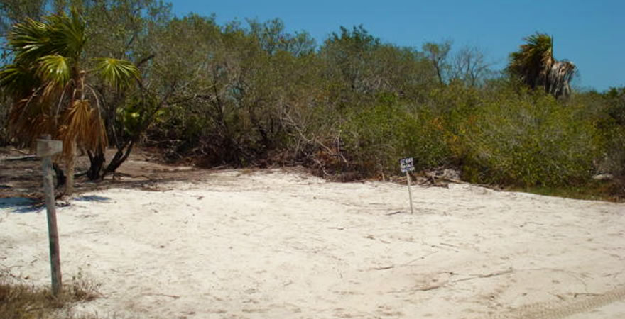 Real Estate Holbox, Lands for Sale in Holbox