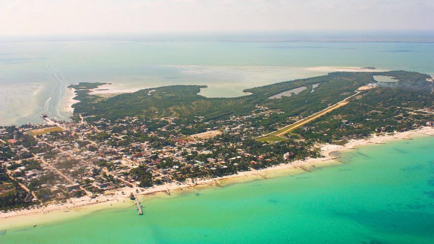Transfers for Groups to Holbox